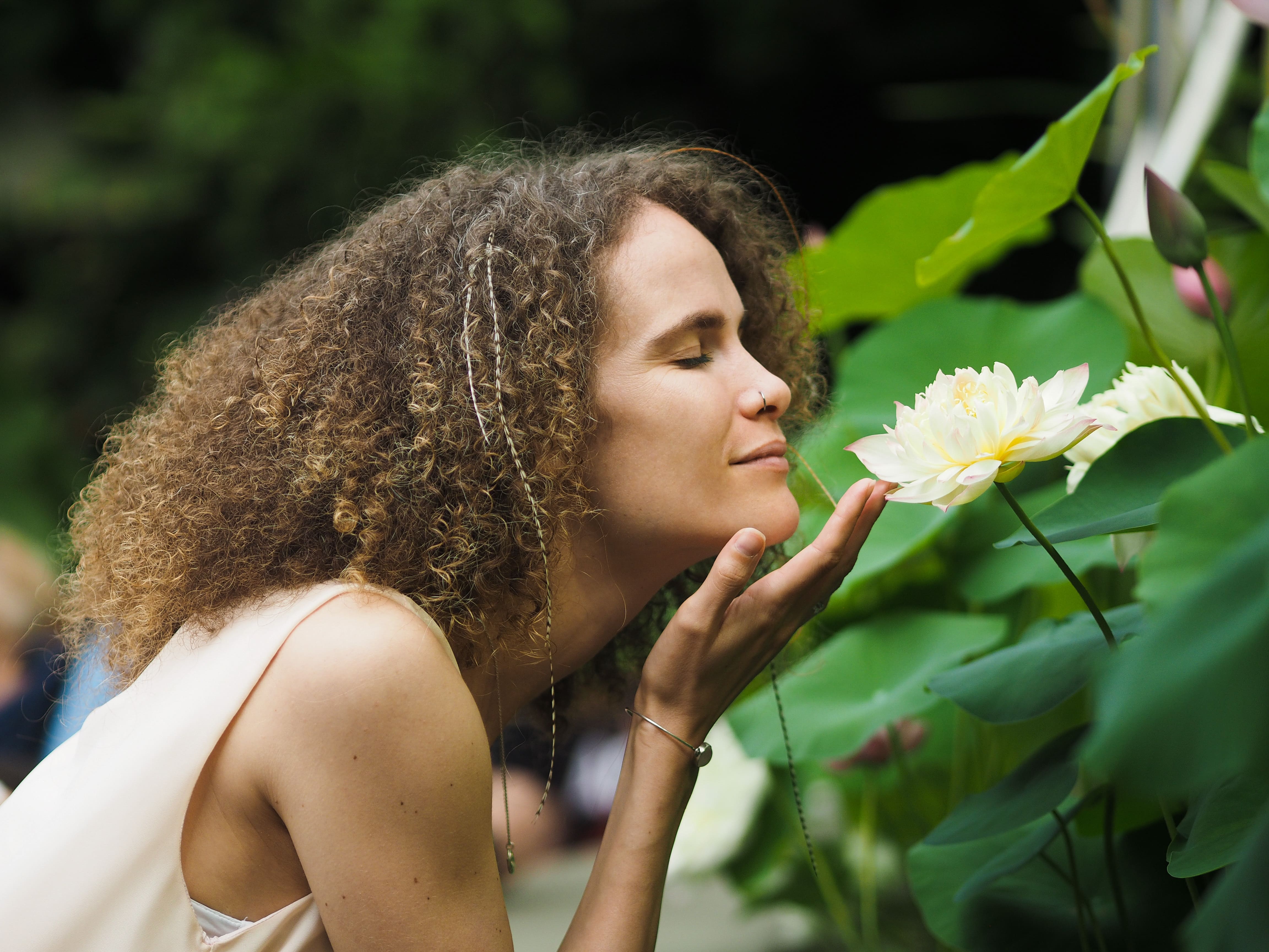 Finding The True Peace