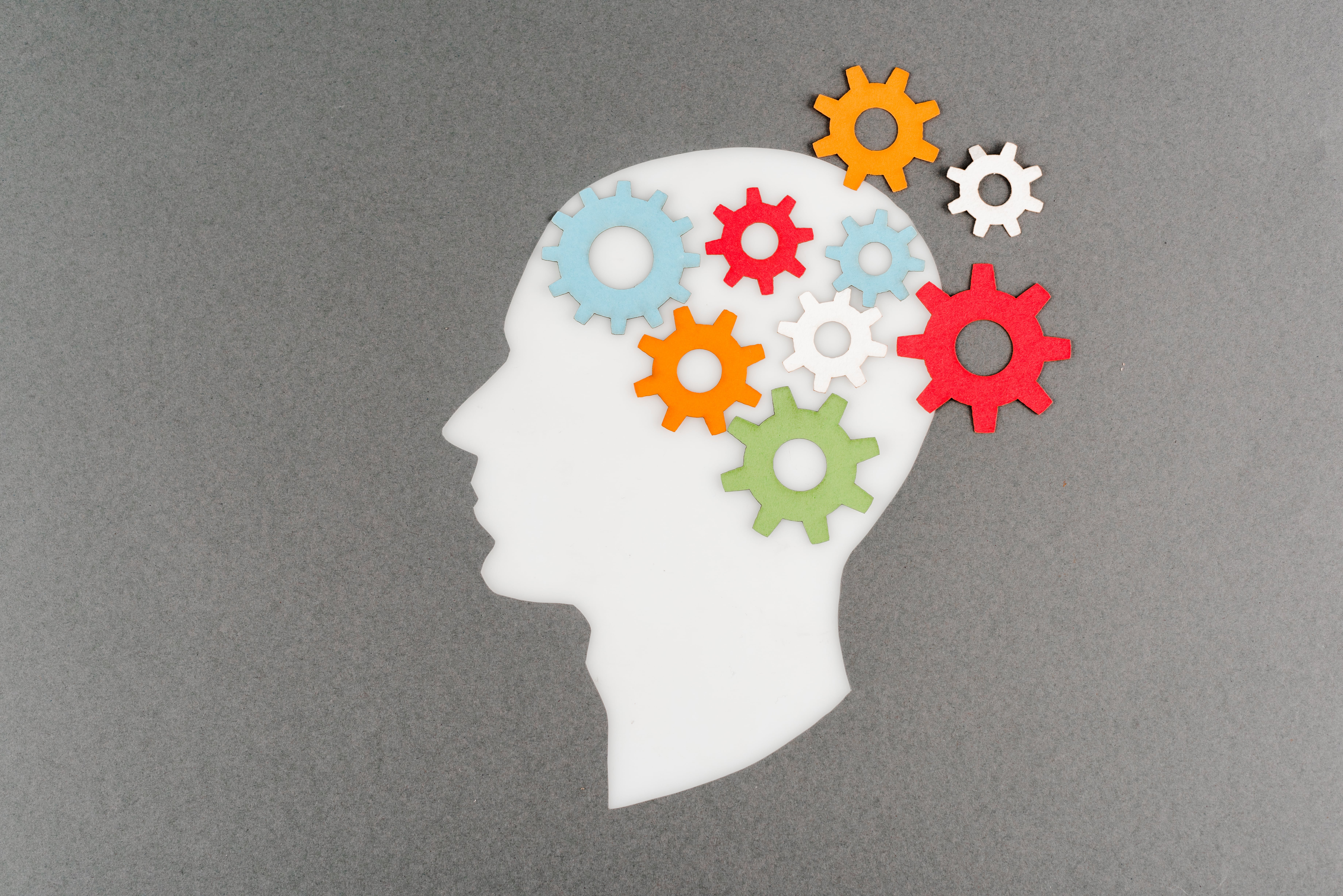 Teaching the Mind to Meditate