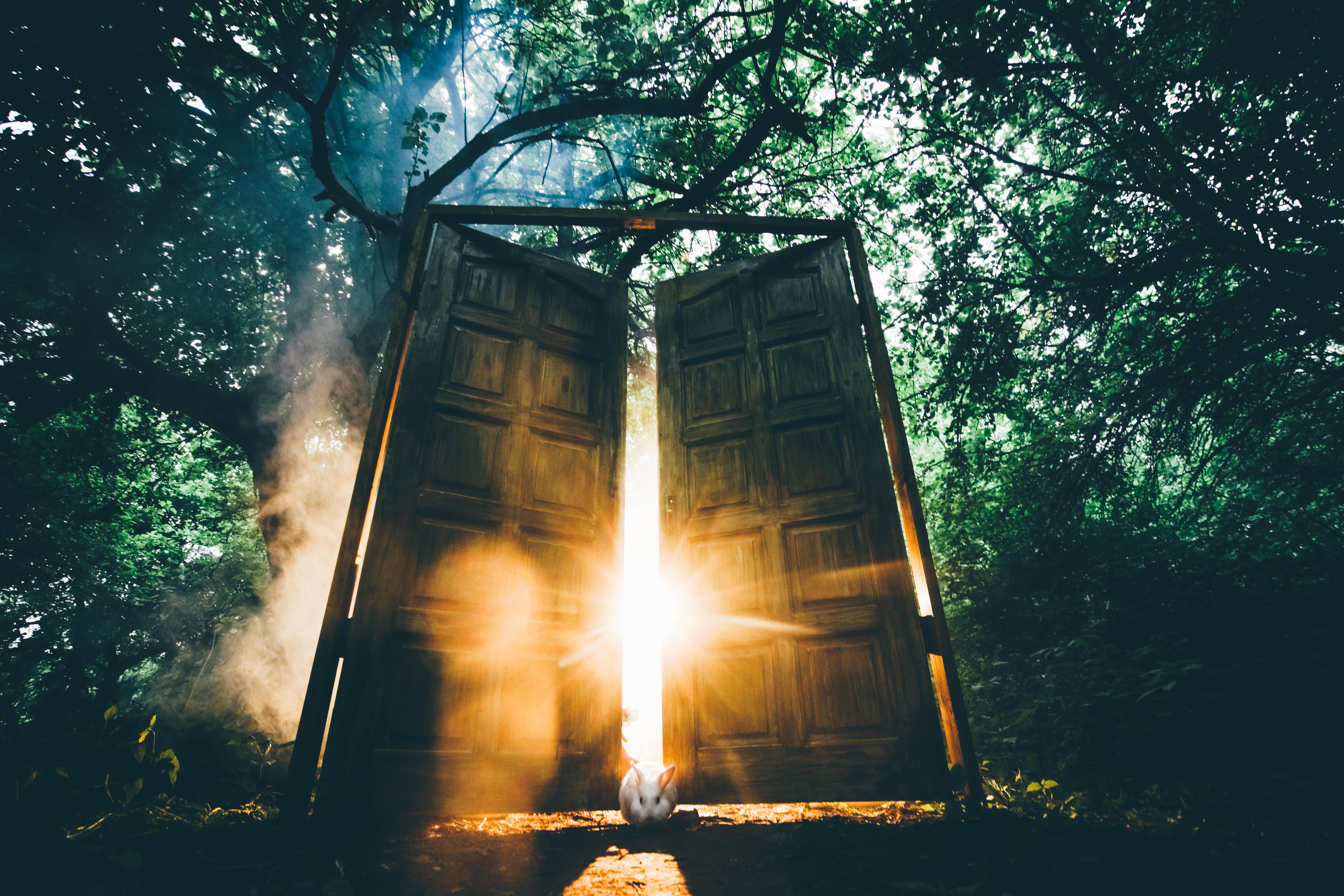 The Spiritual Path to Awakening - Article thumbnail