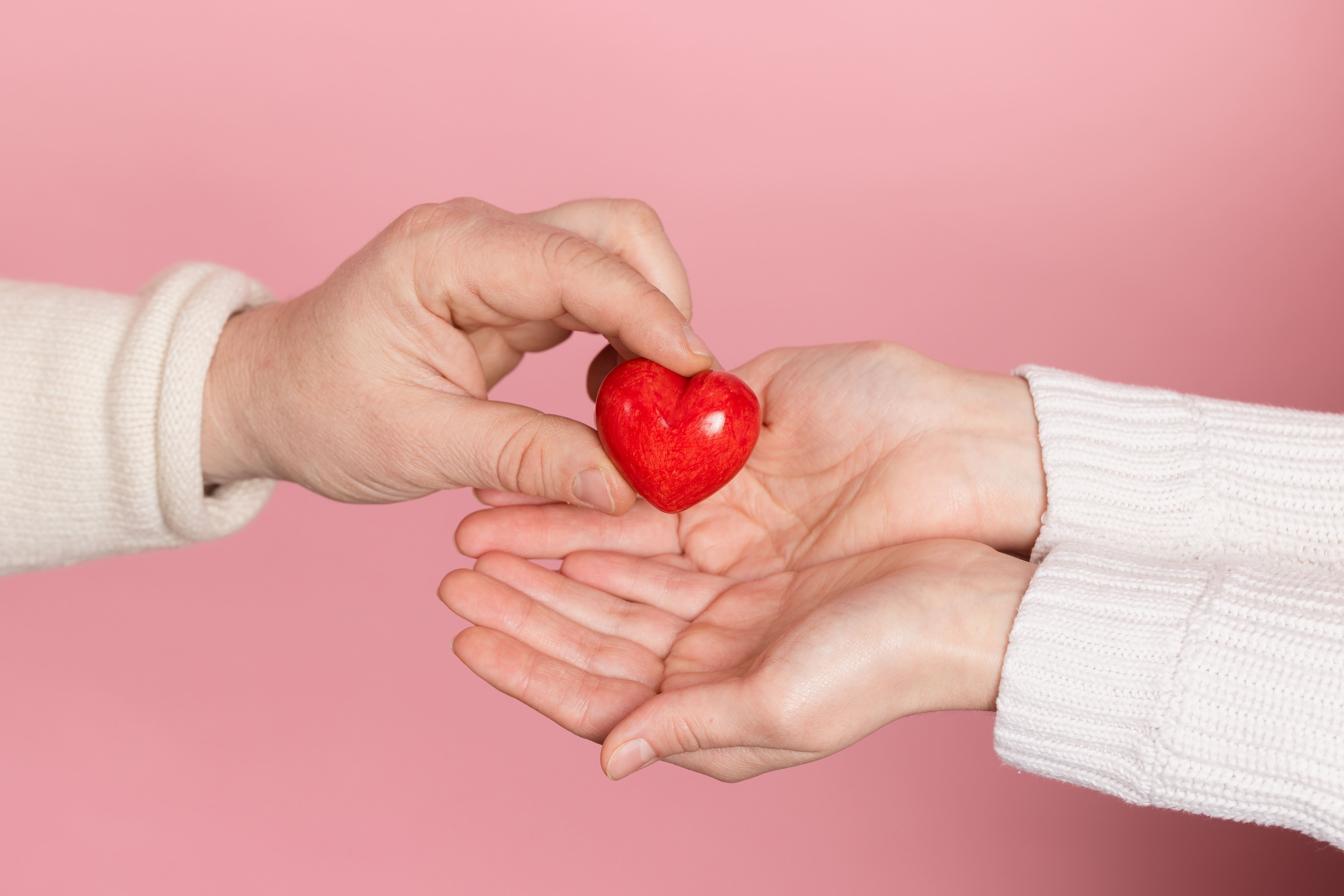 Donation Program